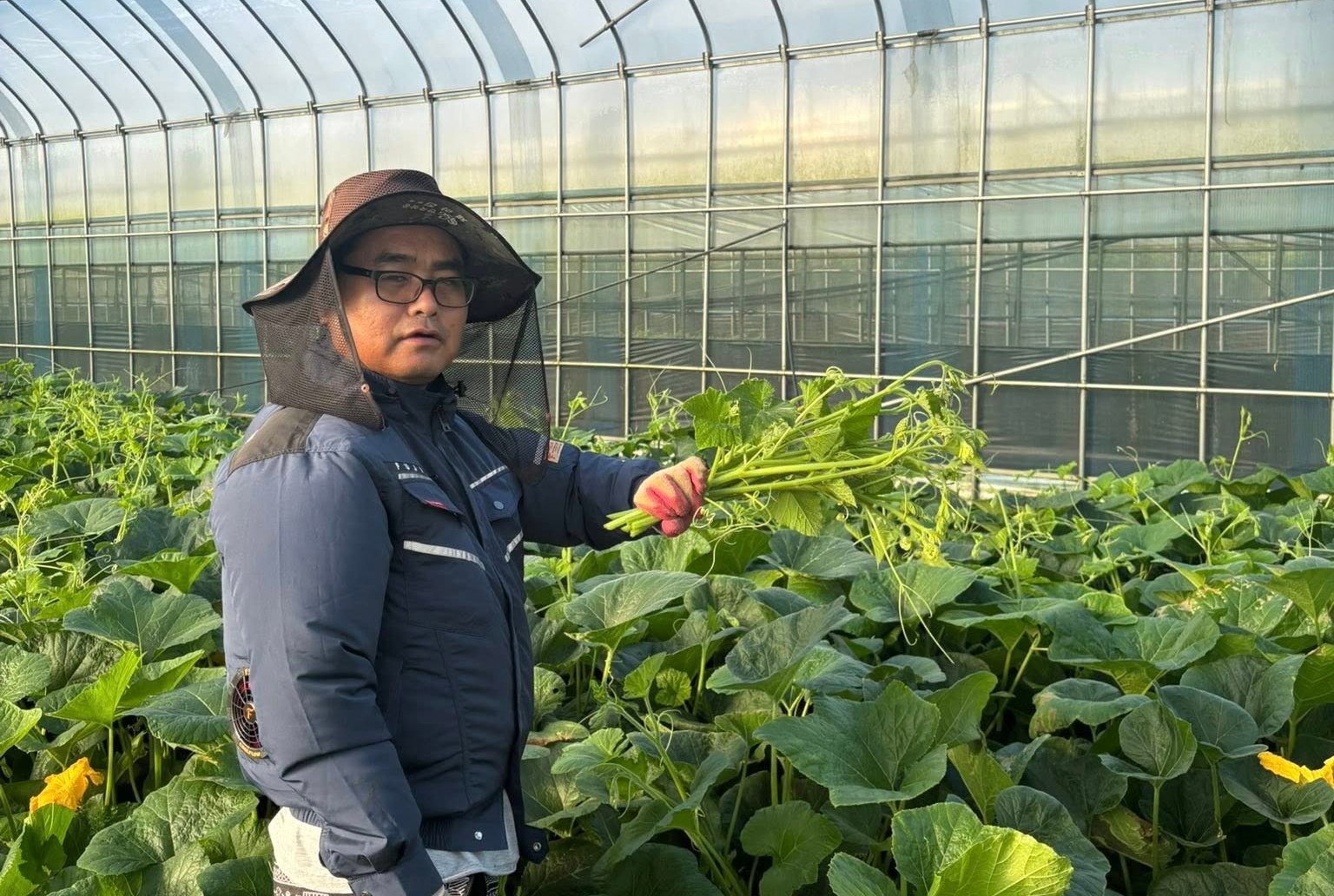 Nông dân Hàn Quốc xem bảo hiểm nông nghiệp là người bạn đồng hành. Ảnh: Lê San.