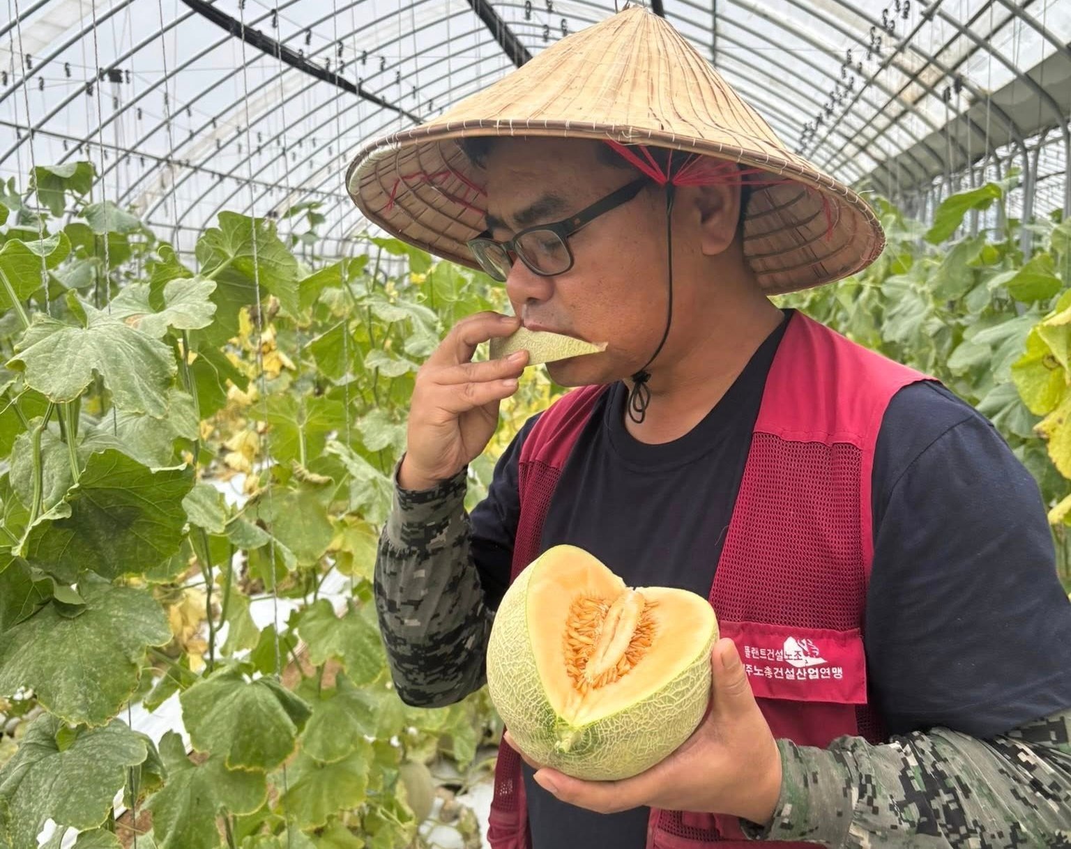 Sự đồng hành giữa doanh nghiệp bảo hiểm, nhà nước và đồng chia sẻ của nông dân là nền tảng vững chắc giúp bảo hiểm nông nghiệp phát triển mạnh ở Hàn Quốc. Ảnh: Lê San.