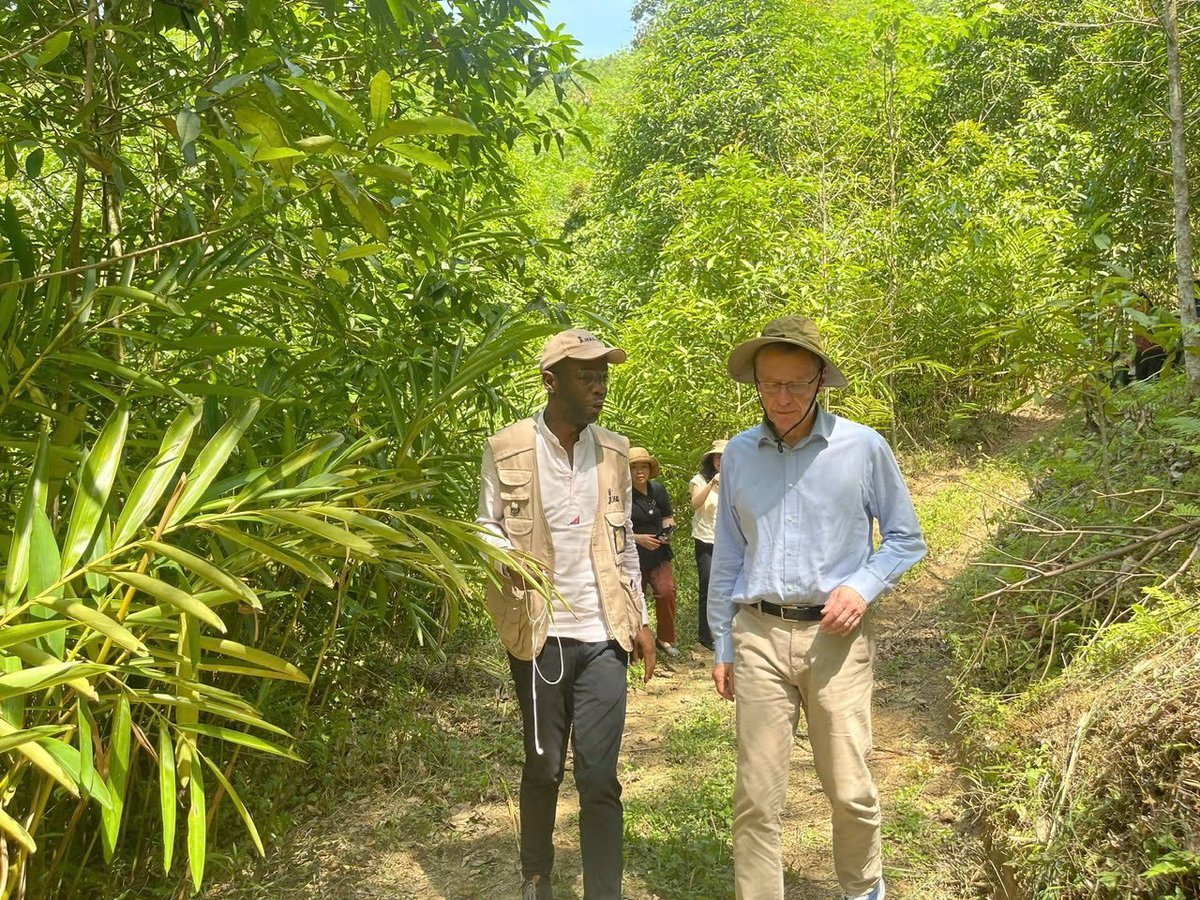 Hơn 800.000 người dân nông thôn tại Việt Nam đã được hưởng lợi từ các dự án do IFAD hỗ trợ. Ảnh: IFAD.