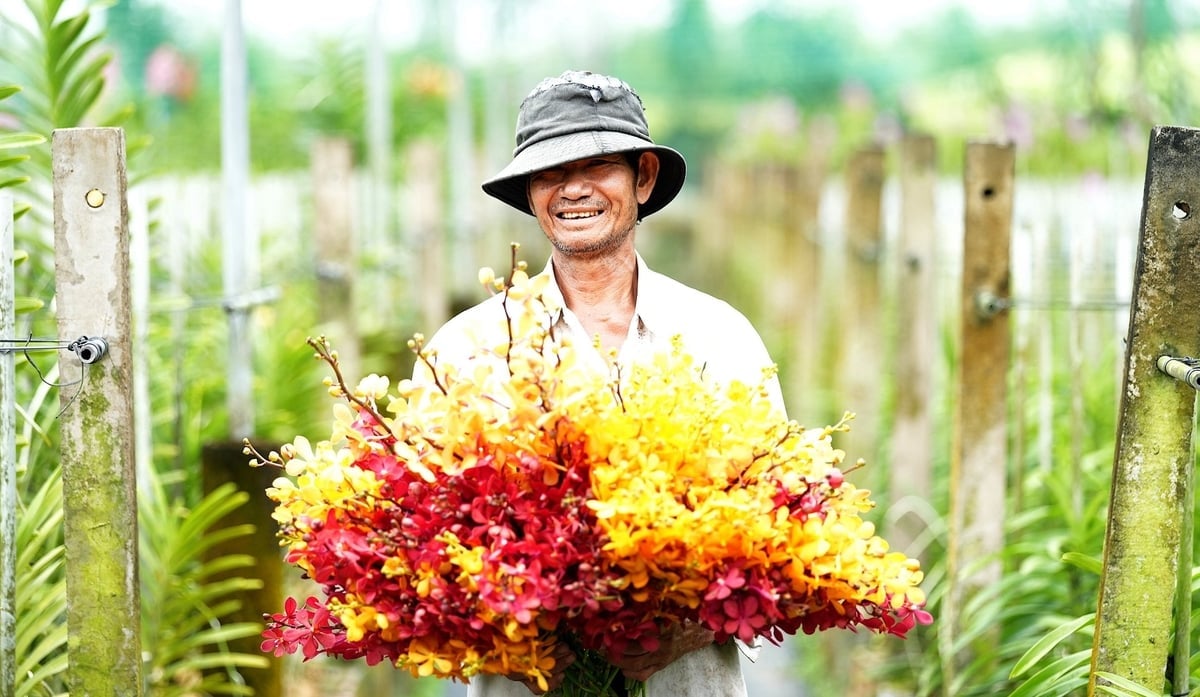 Pan Phuc, jeden z pracowników, który od ponad 10 lat pracuje w ogrodzie orchidei Huyen Thoai. Zdjęcie: Phuc Lap.
