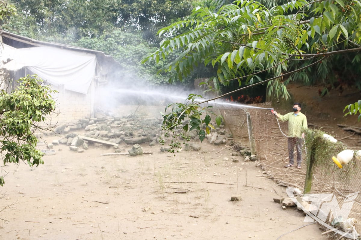 Người dân xã Tân Khánh chủ động phun thuốc khử trùng, bảo vệ đàn gia cầm sau bão.