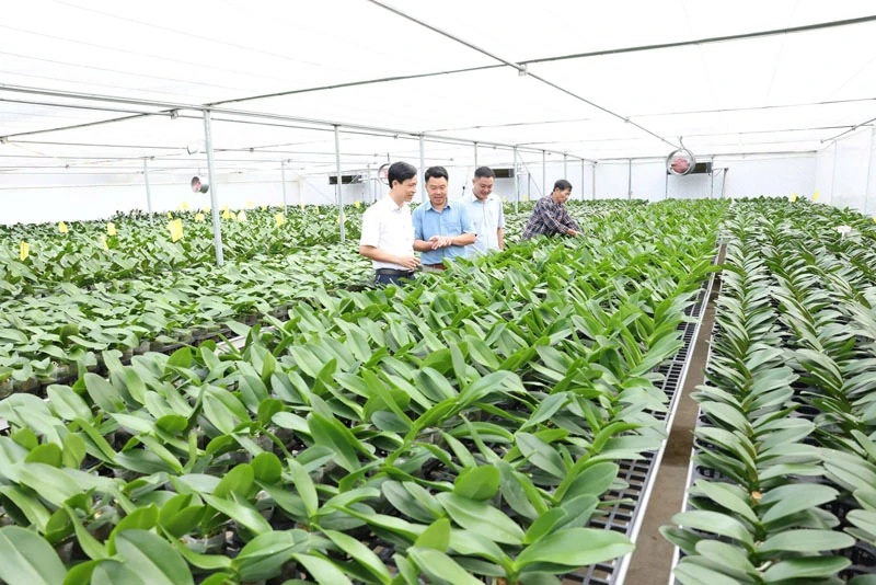 A Gazdaszövetségek szerepének előmozdítása a kollektív gazdaságfejlesztésben