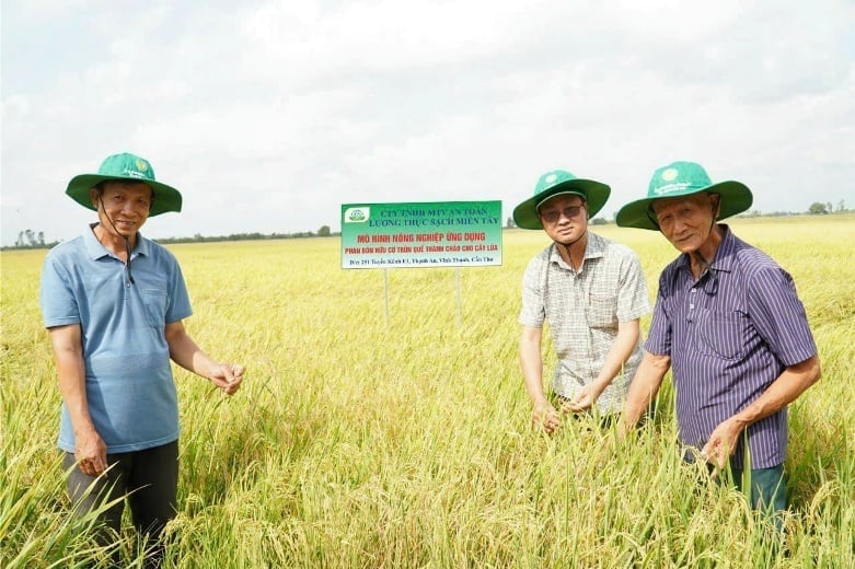 Anh Nguyễn Thành Nguyện (đứng giữa) thăm mô hình nông nghiệp ứng dụng phân bón hữu cơ của công ty. Ảnh: NVCC.