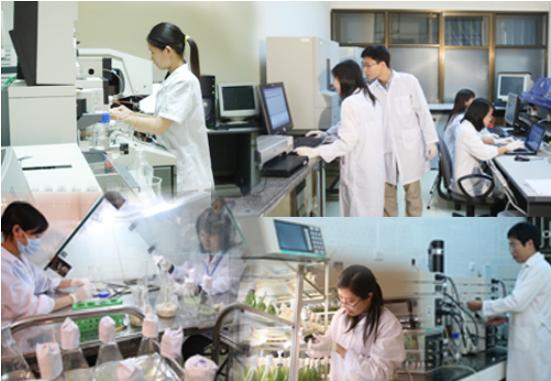 Bộ KH&CN ban hành Bảng phân loại lĩnh vực KH&CN mới- Ảnh 1.