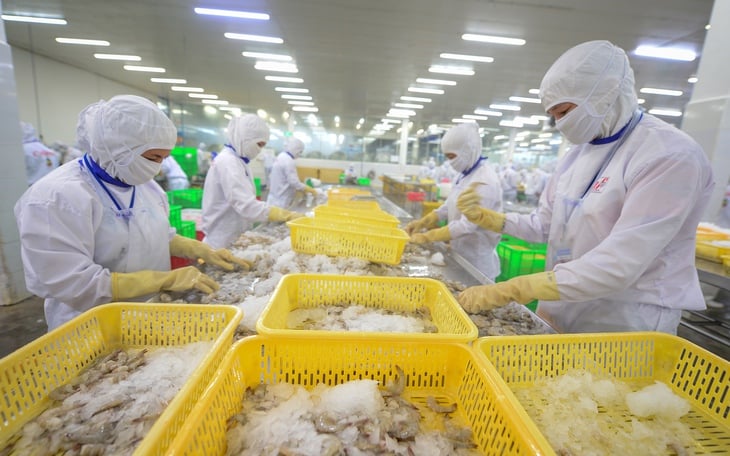 ກ້າວໄປສູ່ອະນາຄົດທີ່ສົດໃສສີຂຽວ - ຮູບ 3. tương lai xanh - Ảnh 2.