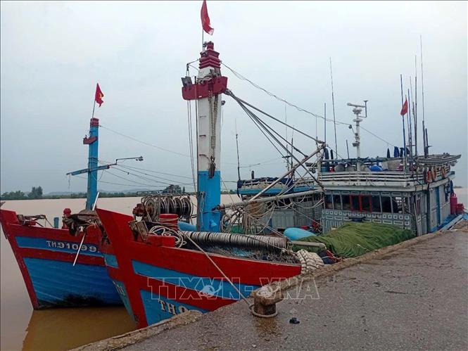 写真のキャプション