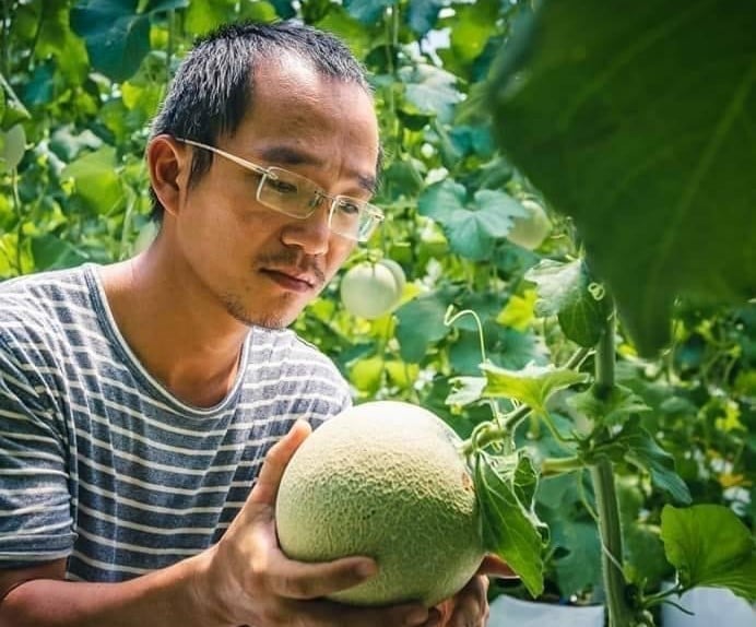 Gia Lai បង្កើតគំរូកសិកម្មបច្ចេកវិទ្យាខ្ពស់ជាច្រើន។ រូបថត៖ V.D.T. Gia Lai phát triển nhiều mô hình nông nghiệp công nghệ cao. Ảnh: V.Đ.T.