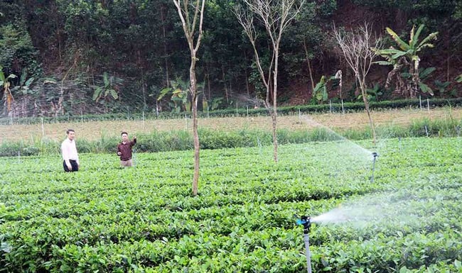 A szociálpolitikai kreditmunka jelentősen hozzájárul a fenntartható szegénységcsökkentés céljához - 1. kép. Công tác tín dụng chính sách xã hội góp phần quan trọng vào mục tiêu giảm nghèo bền vững - Ảnh 1.