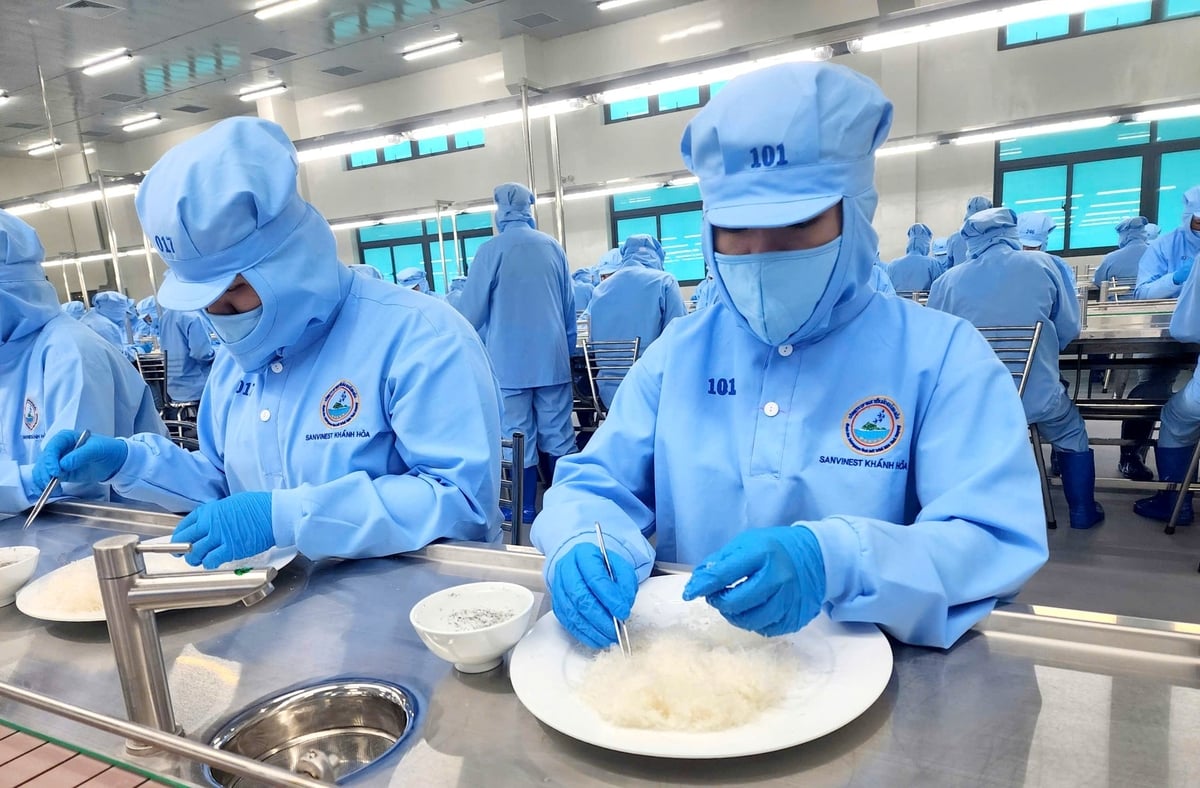 ປຸງແຕ່ງຮັງນົກຢູ່ບໍລິສັດຮັງນົກຄານ. ຮູບພາບ: ວິສະວະກອນ. Chế biến yến sào tại Công ty Yến sào Khánh Hòa. Ảnh: KS.