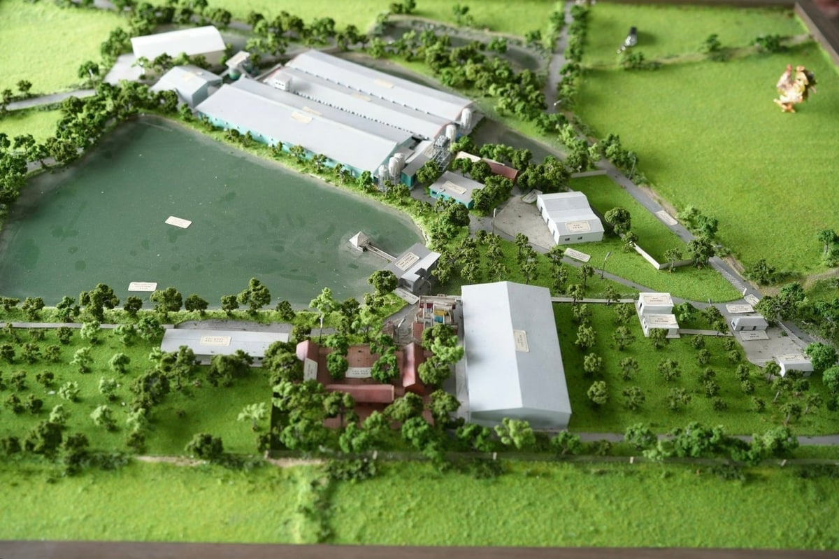 Model Ladang Delco. Foto: Pham Minh. Mô hình Delco Farm. Ảnh: Phạm Minh.