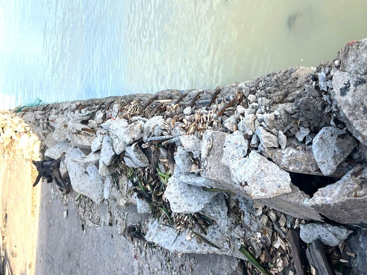 ນ້ຳແຕກທີ່ມີເນື້ອທີ່ຫຼາຍກວ່າ 80 ຕາແມັດຢູ່ທ່າກຳປັ່ນຫາປາເກົ່າຂອງທ່າກຳປັ່ນຫາປາ Quy Nhon ໄດ້ຖືກພັດທະນາ, ເຮັດໃຫ້ຊັ້ນຊີມັງປ້ອງກັນແຕກອອກ, ເຮັດໃຫ້ຫີນແລະຊີມັງແຕກອອກ. ພາບ: CCQN. Hơn 80m2 bờ kè chắn sóng tại cầu cảng cá cũ của cảng cá Quy Nhơn bị va đập gây bung lớp bê tông bảo vệ, lòi đá chẻ và xi măng. Ảnh: CCQN.