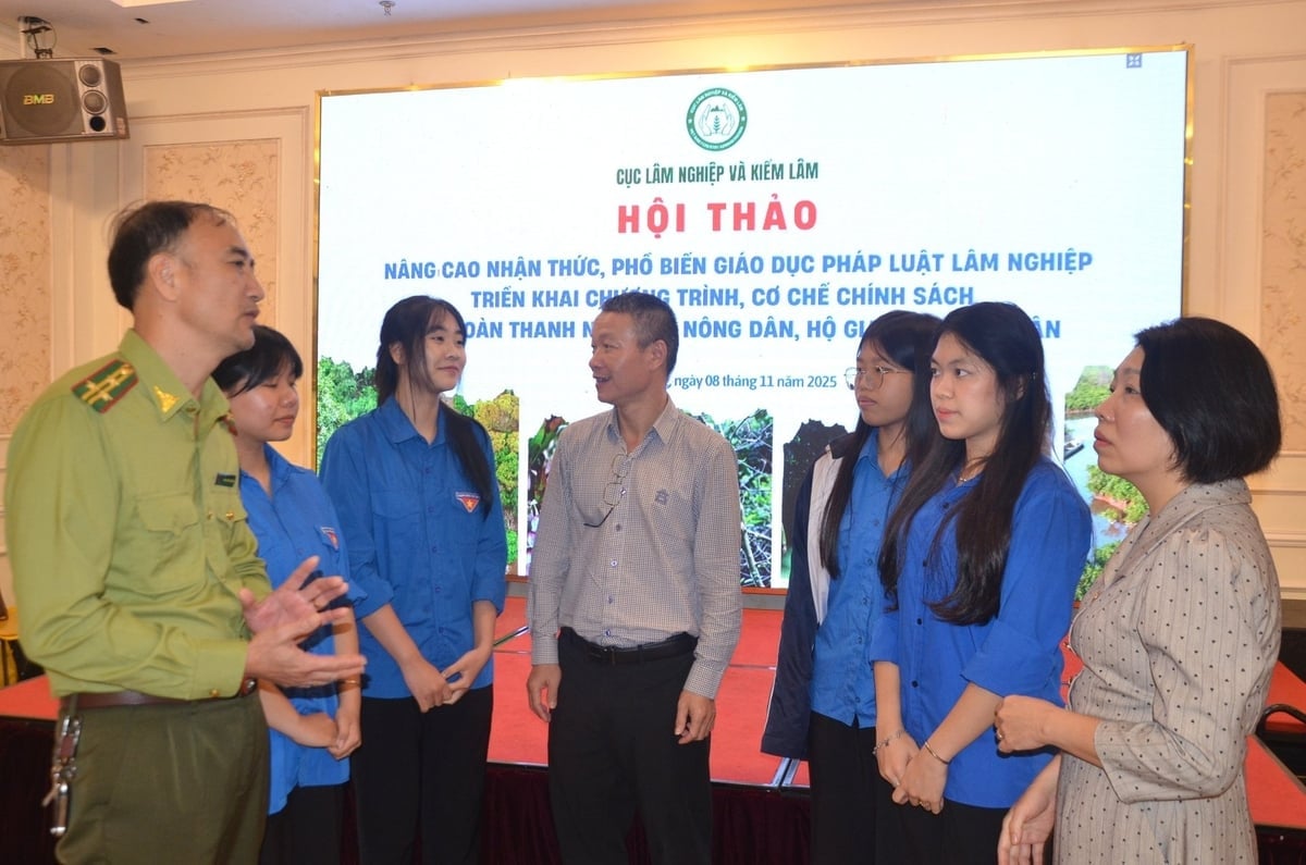 គណៈប្រតិភូផ្លាស់ប្តូរចំណេះដឹងផ្នែកព្រៃឈើជាមួយសមាជិកសហជីព និងយុវជនខេត្ត Tuyen Quang។ រូបភាព៖ Dao Thanh។ Các đại biểu trao đổi kiến thức về lâm nghiệp với lực lượng đoàn viên, thanh niên tại Tuyên Quang. Ảnh: Đào Thanh.