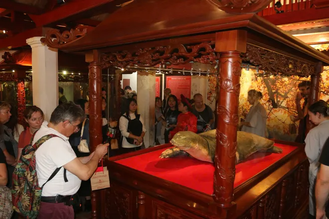 Ứng dụng công nghệ 3D mapping tại tour đêm “Ngọc Sơn - đêm huyền bí”  - Ảnh 3.