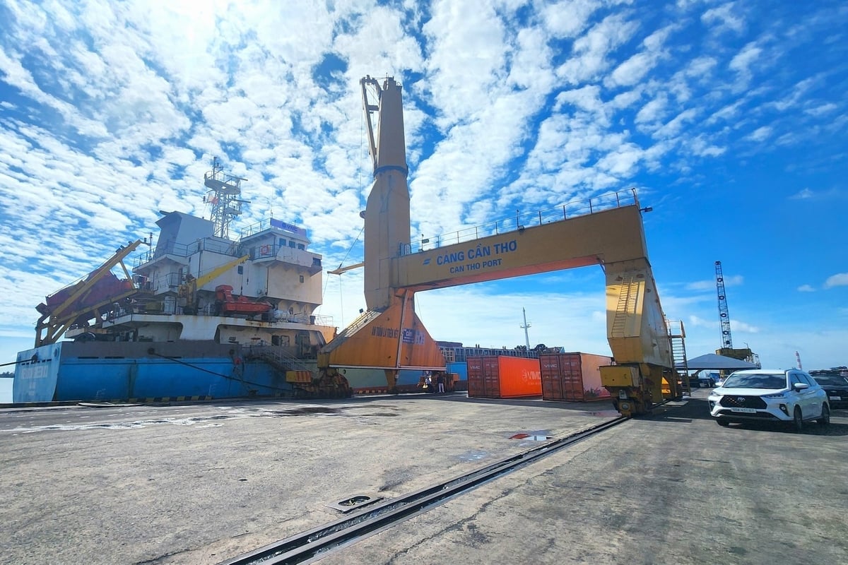 ទីក្រុង Can Tho មានបំណងក្លាយជាមជ្ឈមណ្ឌលស្រាវជ្រាវ និងនវានុវត្តន៍ក្នុងវិស័យកសិកម្មបៃតង និងបច្ចេកវិជ្ជាបរិស្ថាននៅតំបន់ដីសណ្តទន្លេមេគង្គនៅឆ្នាំ ២០៤៥។ រូបថត៖ Kim Anh។ TP. Cần Thơ đặt mục tiêu đến năm 2045 trở thành trung tâm nghiên cứu, đổi mới sáng tạo về nông nghiệp xanh và công nghệ môi trường của vùng ĐBSCL. Ảnh: Kim Anh.