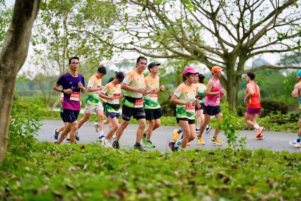 Trang An Marathon 2025 vestigt een record met meer dan 10.000 deelnemende atleten - Foto 1. Trang An Marathon 2025 lập kỷ lục hơn 10.000 VĐV tranh tài - Ảnh 1.