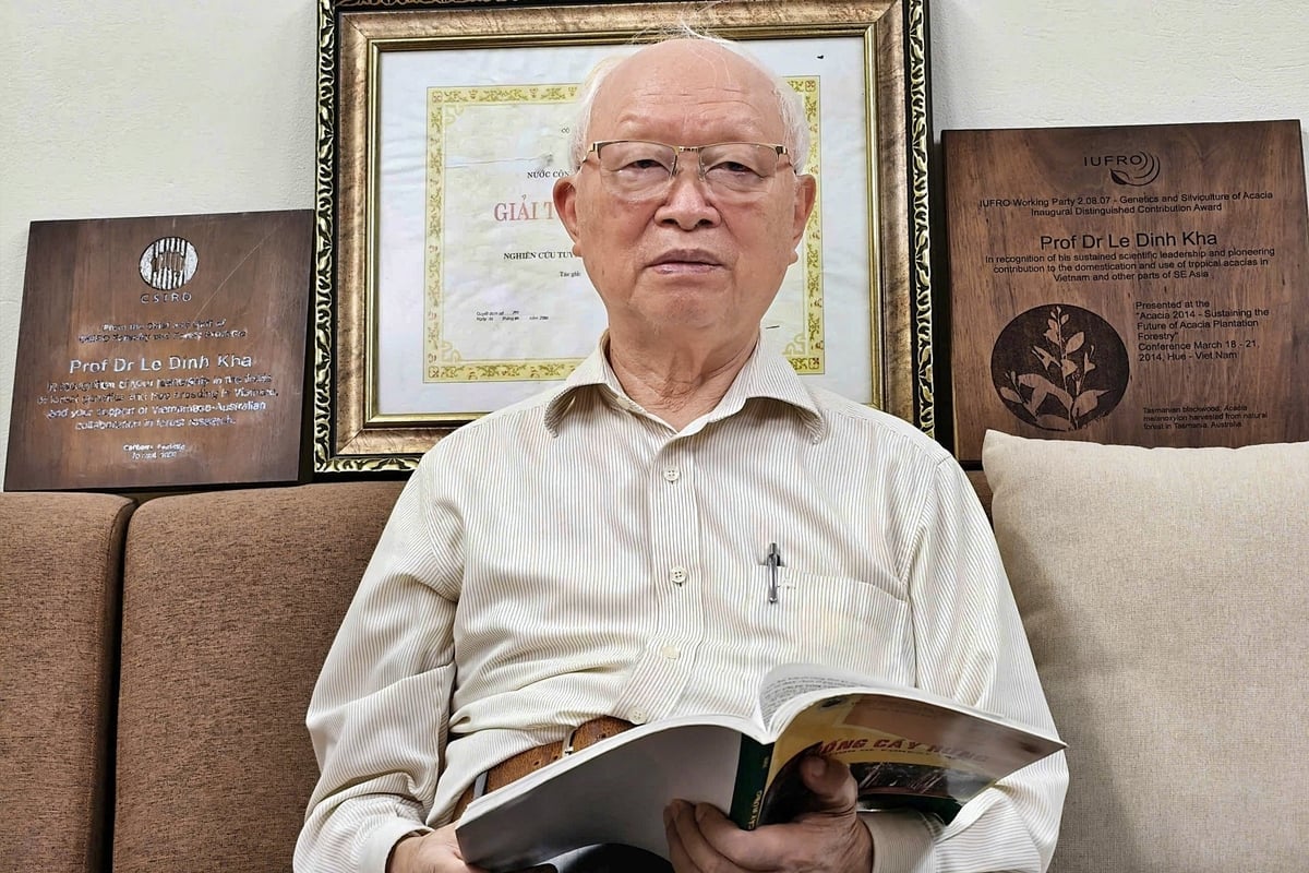 Ο καθηγητής Δρ. Le Dinh Kha τιμήθηκε με το Κρατικό Βραβείο για υβριδική ακακία το 2000. Φωτογραφία: Bao Thang. GS.TS Lê Đình Khả được trao tặng Giải thưởng Nhà nước về giống keo lai năm 2000. Ảnh: Bảo Thắng.