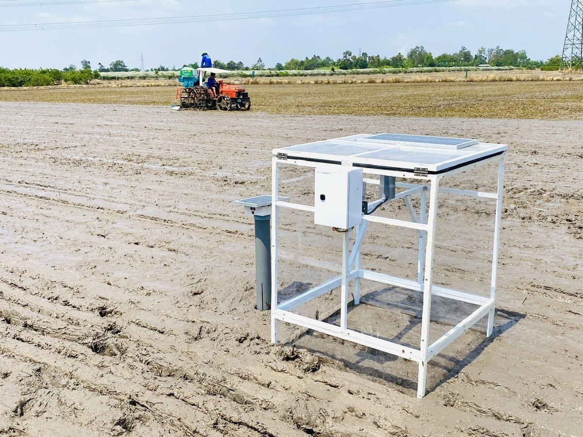 Модель выращивания высококачественного риса, сокращающая выбросы. Фото: Ле Хоанг Ву. Mô hình trồng lúa chất lượng cao, giảm phát thải. Ảnh: Lê Hoàng Vũ.