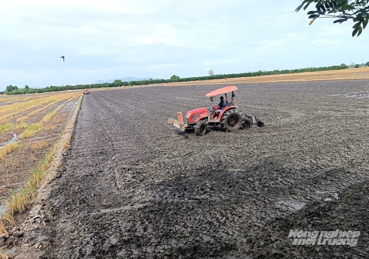 ​ໄຖ​ດິນ​ດ້ວຍ​ເຄື່ອງ​ຈັກ​ກ່ອນ​ປູກ​ເຂົ້າ​ຢູ່​ທົ່ງ​ນາ​ກວ້າງ​ໃຫຍ່​ຢູ່​ເຂດ​ສີ່​ຫລ່ຽມ​ລອງ​ຊ້ຽນ. ພາບ: ເຈີ່ນຈັນ.