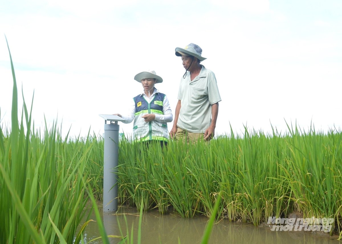 ເຈົ້າ​ໜ້າ​ທີ່​ກະ​ສິ​ກຳ​ຮ່ວມ​ມື​ກັບ​ຊາວ​ກະ​ສິ​ກອນ​ຢູ່​ເຂດ​ໄຕ​ງວຽນ ​ເພື່ອ​ສ້າງ​ລະ​ດູ​ການ​ເກັບ​ກ່ຽວ​ໃຫ້​ໄດ້​ຮັບ​ຜົນ​ດີ. ພາບ: ເຈີ່ນຈັນ.