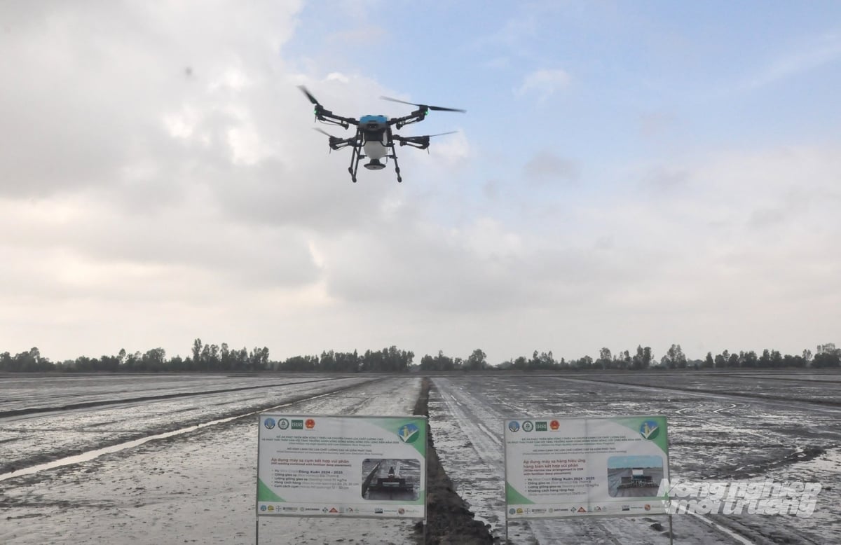 ທົ່ງ​ນາ​ທັນ​ສະ​ໄໝ​ເຂົ້າ​ຮ່ວມ​ໂຄງ​ການ​ເຂົ້າ​ຄຸນ​ນະ​ພາບ​ສູງ 1 ລ້ານ​ເຮັກຕາ​ພວມ​ໄດ້​ຮັບ​ການ​ປະ​ຕິ​ບັດ​ຢູ່​ເຂດ​ສີ່​ຫຼ່ຽມ​ລອງ. ພາບ: ເຈີ່ນຈັນ.