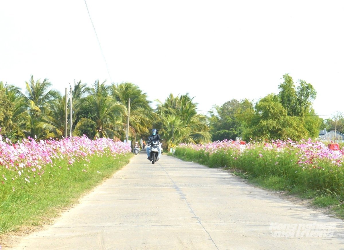 ຖະໜົນຊົນນະບົດທີ່ສົດໃສຕັດຜ່ານທົ່ງນາອຸດົມສົມບູນໃນເຂດສີ່ຫຼ່ຽມລອງຊວຽນ. ພາບ: ເຈີ່ນຈັນ.