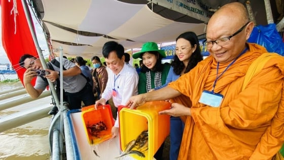 Cần Thơ ký kết hợp tác thả giống phóng sinh, bảo vệ nguồn lợi thủy sản