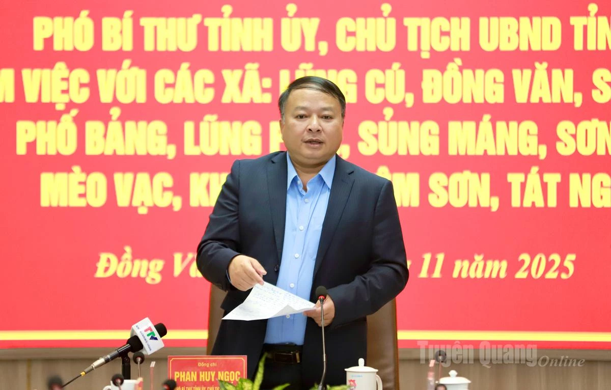 2. Leder av den provinsielle folkekomiteen, Phan Huy Ngoc, holdt en avsluttende tale på arbeidsmøtet.