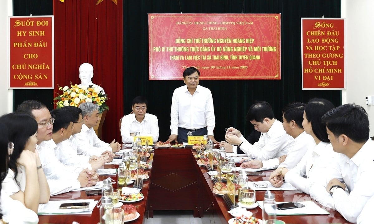 농업환경부 실무 대표단과 뚜옌꽝성 지도자들이 타이빈 마을에서 활동했습니다. 사진: 쿠옹 트룽. Đoàn công tác của Bộ Nông nghiệp và Môi trường và lãnh đạo tỉnh Tuyên Quang làm việc tại xã Thái Bình. Ảnh: Khương Trung.