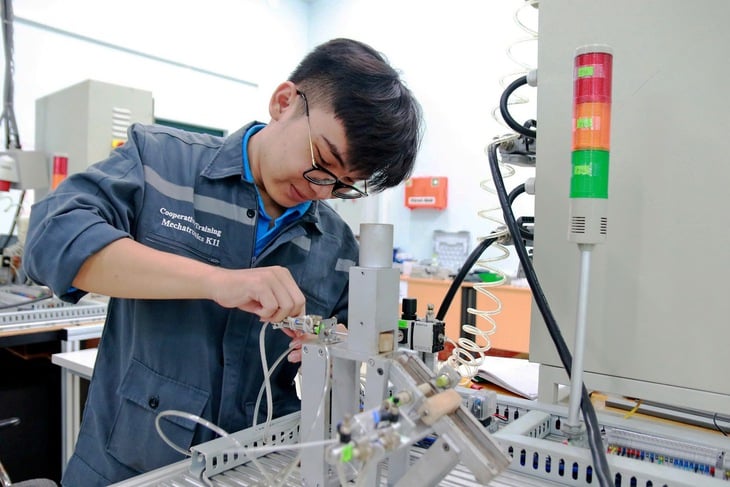 lao động tay nghề cao - Ảnh 1.