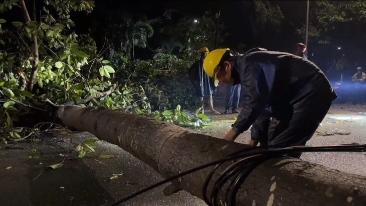 Giông lốc - Ảnh 6.