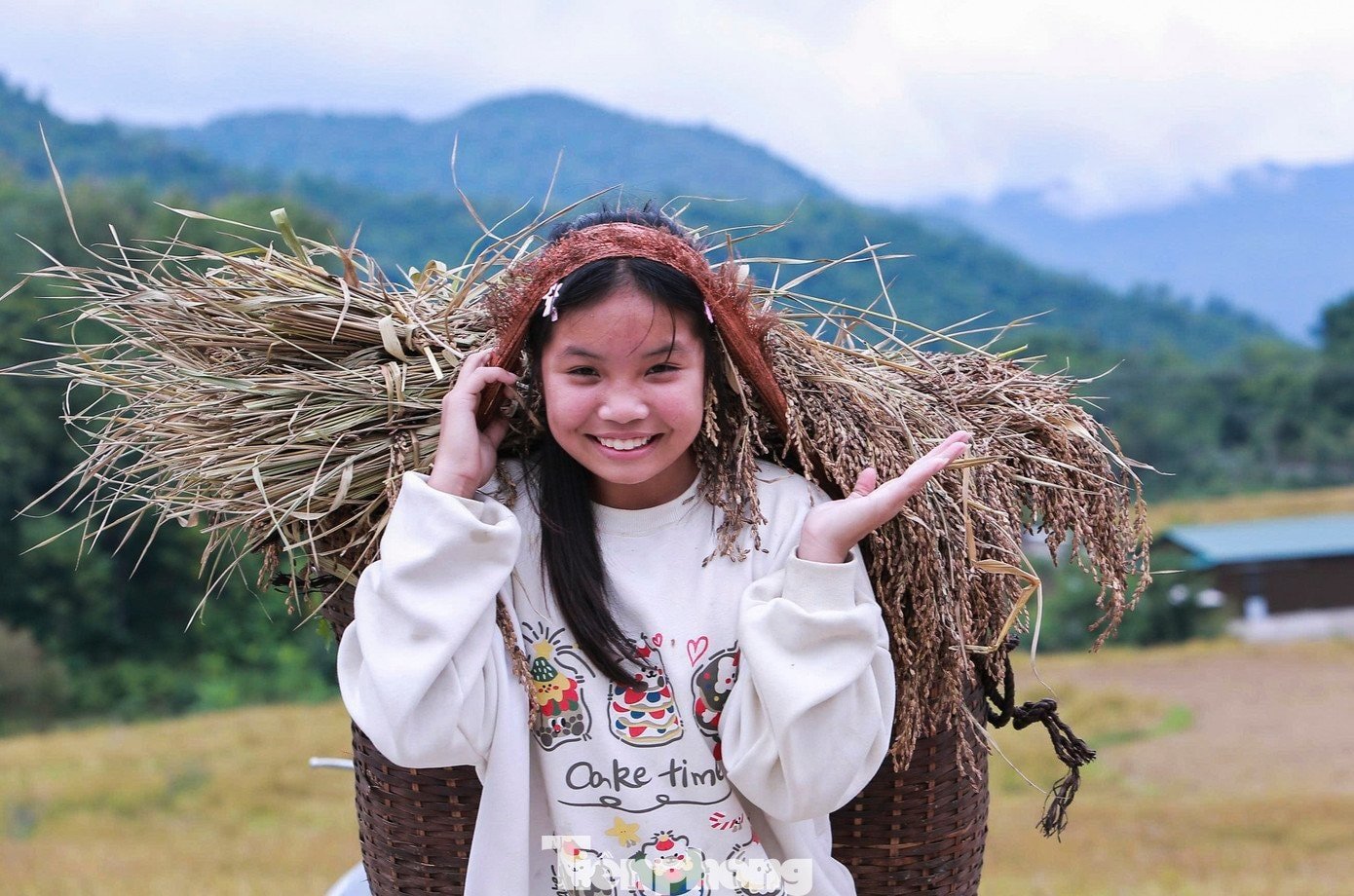 ស្ត្រី​ជនជាតិ​ថៃ​ដឹក​ស្រូវ​បន្ទាប់​ពី​ច្រូត​កាត់។