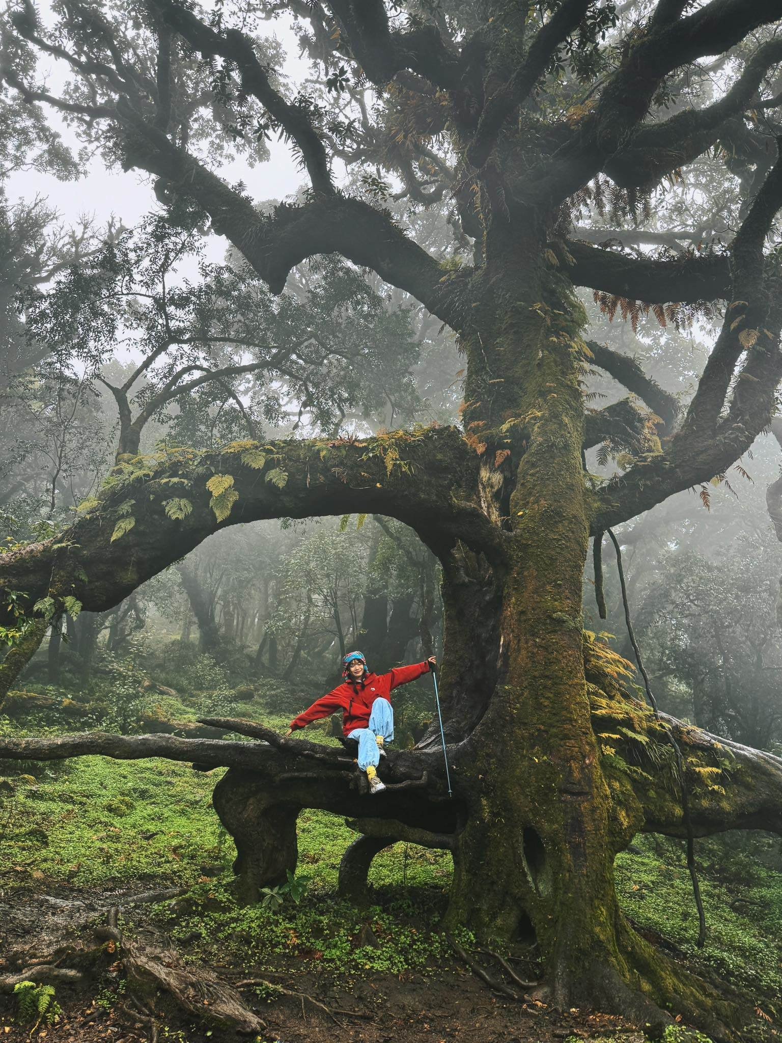 សញ្ជ័យកំពូលភ្នំ 2,756 ម៉ែត្រក្នុងពពកនៃភាគពាយ័ព្យ - ២