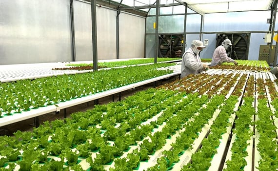 Bình Phước xây dựng nông thôn thông minh- Ảnh 1.