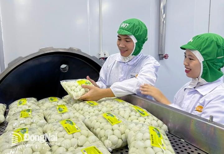 Dong Nai Enterprises: „Locomotive digitale” în fruntea agriculturii de înaltă tehnologie - Fotografia 1.