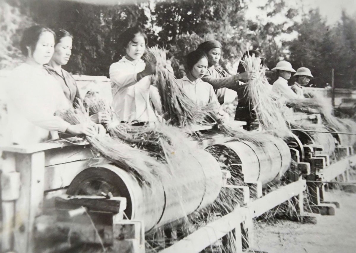 Thực hiện khoán, các khâu làm đất, thủy lợi, giống, bảo vệ thực vật vẫn do HTX đảm nhiệm để giữ vững định hướng tập thể. Còn lại, từ cấy, chăm sóc đến thu hoạch, người nông dân được toàn quyền chủ động. Ảnh: Tư liệu.