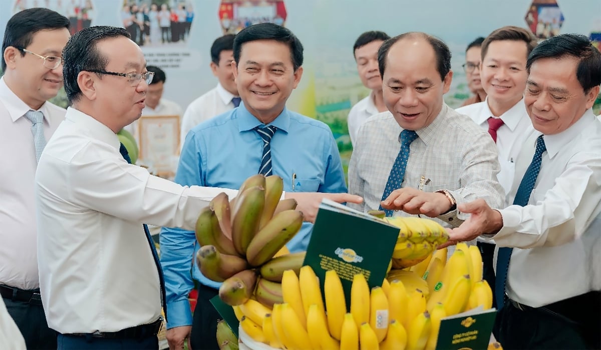 Mục tiêu của TP.HCM không chỉ dừng lại ở phát triển OCOP và nông nghiệp công nghệ cao, mà còn nâng cao sức cạnh tranh và giá trị gia tăng của nông sản. Ảnh: Nguyễn Tú.