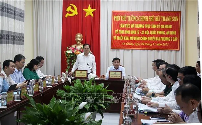 Phó Thủ tướng Bùi Thanh Sơn: An Giang phải tập trung toàn lực để đạt được mục tiêu tăng trưởng - Ảnh 1.