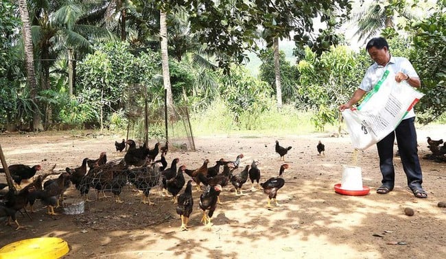 Tín dụng chính sách giúp phát triển kinh tế xóa đói, giảm nghèo bền vững tại Gia Lai - Ảnh 1.