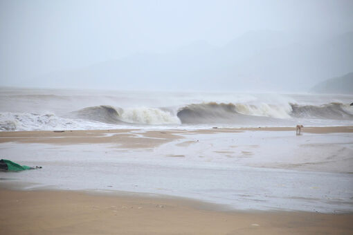 Thời tiết hôm nay 10/11: Bão Phượng Hoàng vào Biển Đông, sóng cao tới 10m