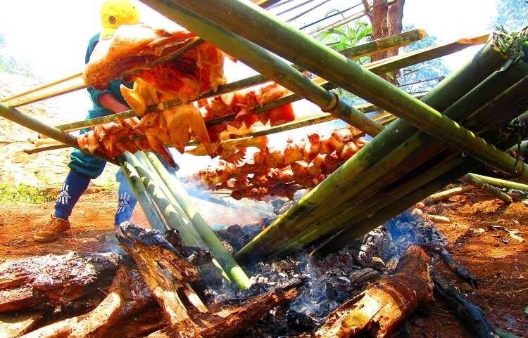 Khu du lịch sinh thái Vườn quốc gia Bù Gia Mập, mới được công nhận đạt chuẩn OCOP 3 sao vào tháng 5/2025. Ảnh: Hoàng Phúc.