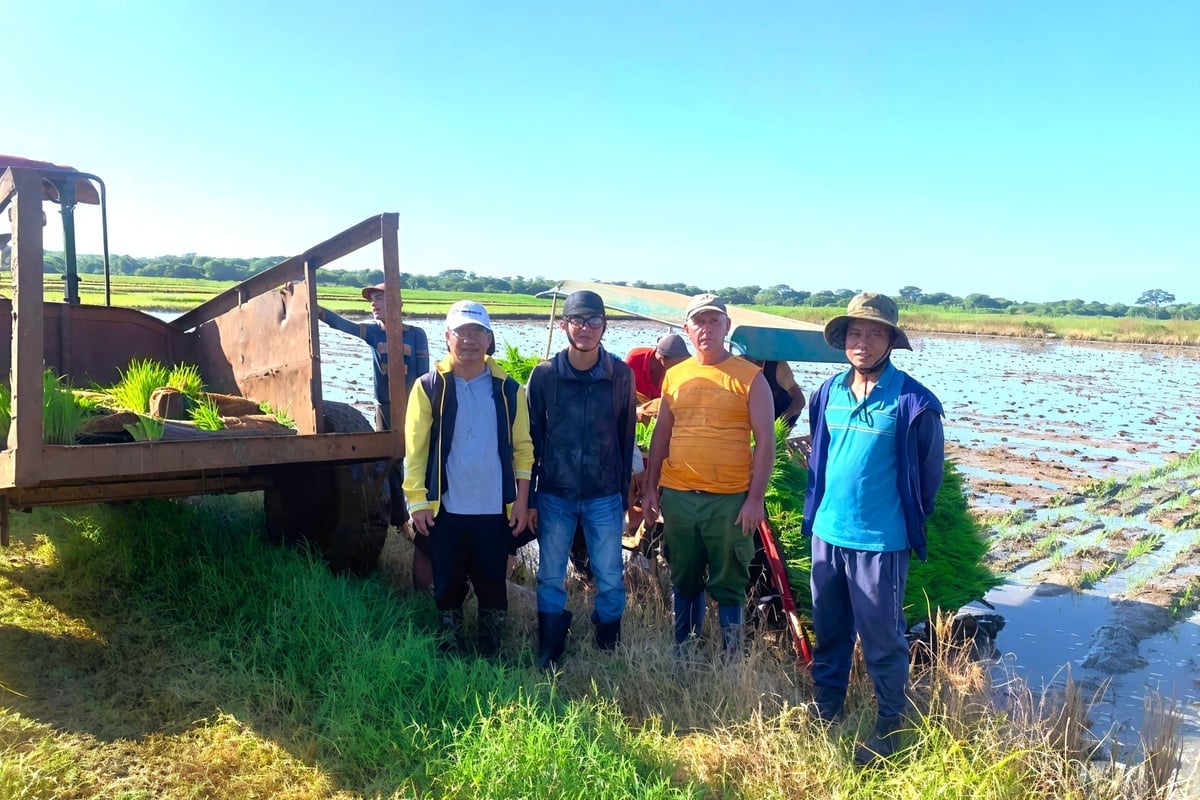 Chuyên gia Việt Nam trao đổi kỹ thuật cấy lúa với nông dân Cuba. Ảnh: Nhân vật cung cấp.