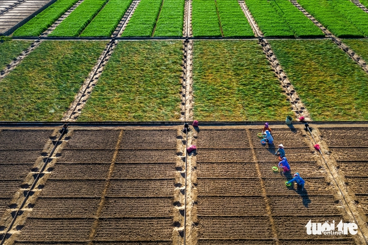 kinh tế xanh - Ảnh 1.