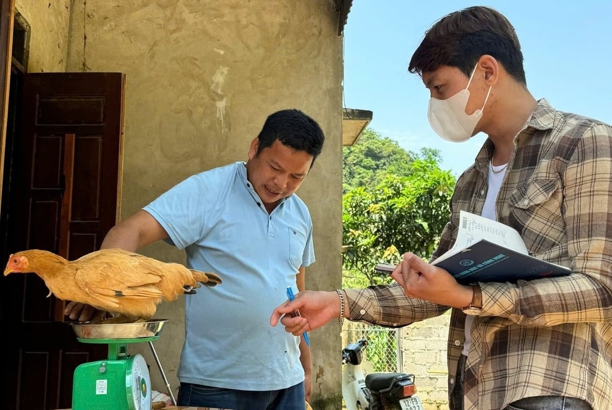 Mỗi mô hình chăn nuôi đều được kiểm soát chặt chẽ từ con giống, vệ sinh chuồng trại đến tiêu chuẩn an toàn sinh học. Ảnh: Hoàng Nghĩa.