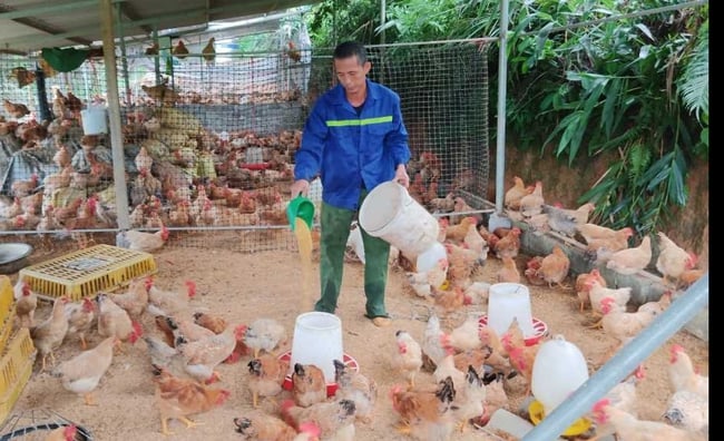 Phát triển du lịch cộng đồng, dịch vụ và bảo tồn giá trị văn hóa góp phần nâng cao đời sống người dân vùng biên - Ảnh 2.