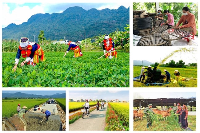 Thành lập Hội đồng thẩm định Báo cáo đề xuất chủ trương đầu tư Chương trình mục tiêu quốc gia xây dựng nông thôn mới, giảm nghèo bền vững - Ảnh 1.