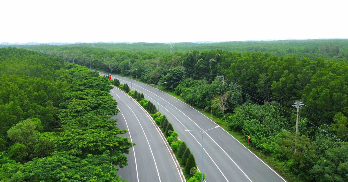 TP.HCM đầu tư 3.850 tỷ đồng nâng cấp trục đường Rừng Sác