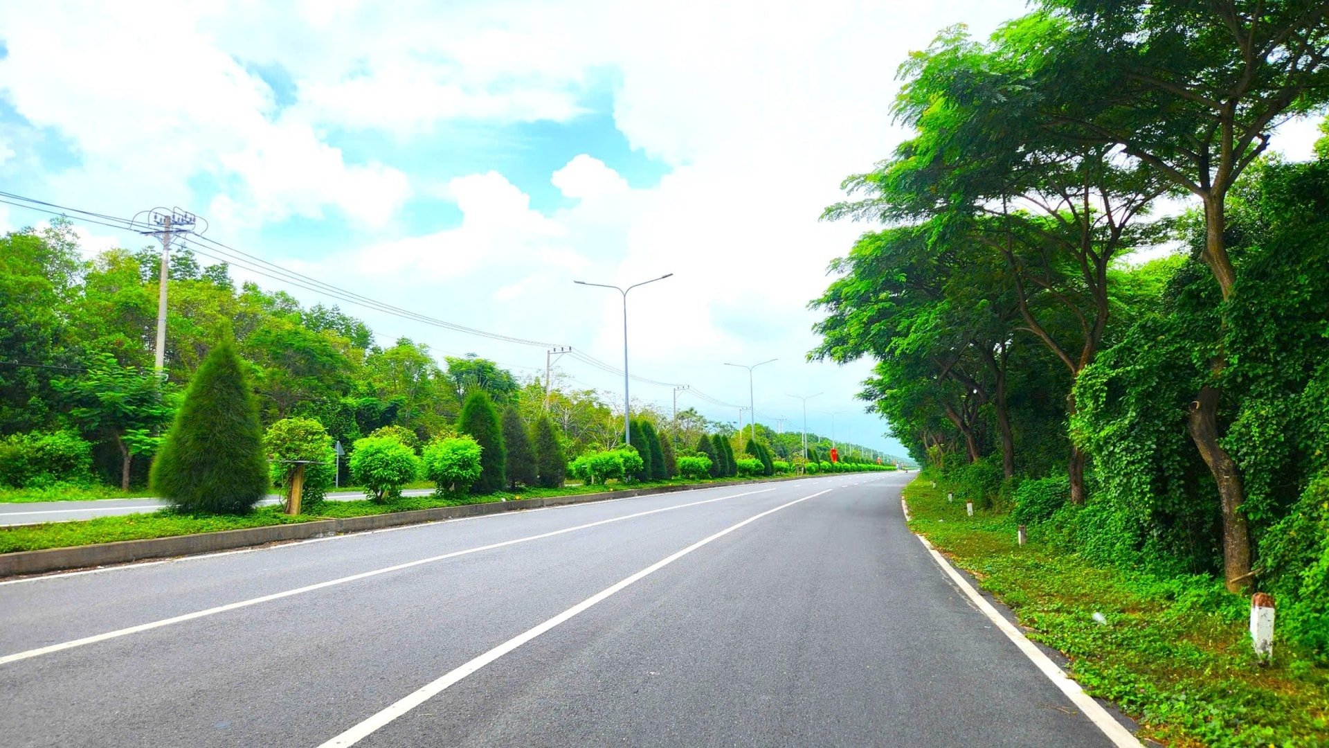 The Sac Forest route passes through the Can Gio mangrove forest area.