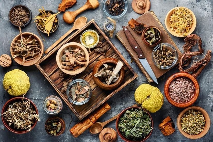 Hoàn thiện khung pháp để phát triển y dược cổ truyền Việt Nam trong hội nhập quốc tế- Ảnh 1.