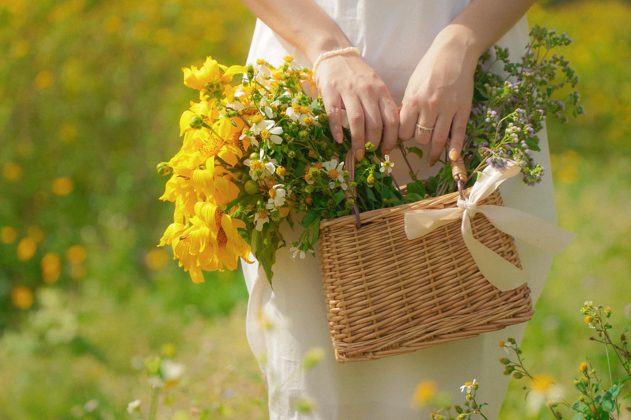 Dã quỳ nhuộm vàng phố núi, Đà Lạt vào mùa đẹp nhất năm