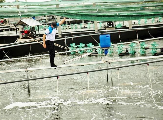 Подпись к фотографии